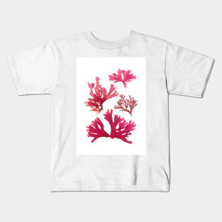 Carola Seaweed Kids T-Shirt